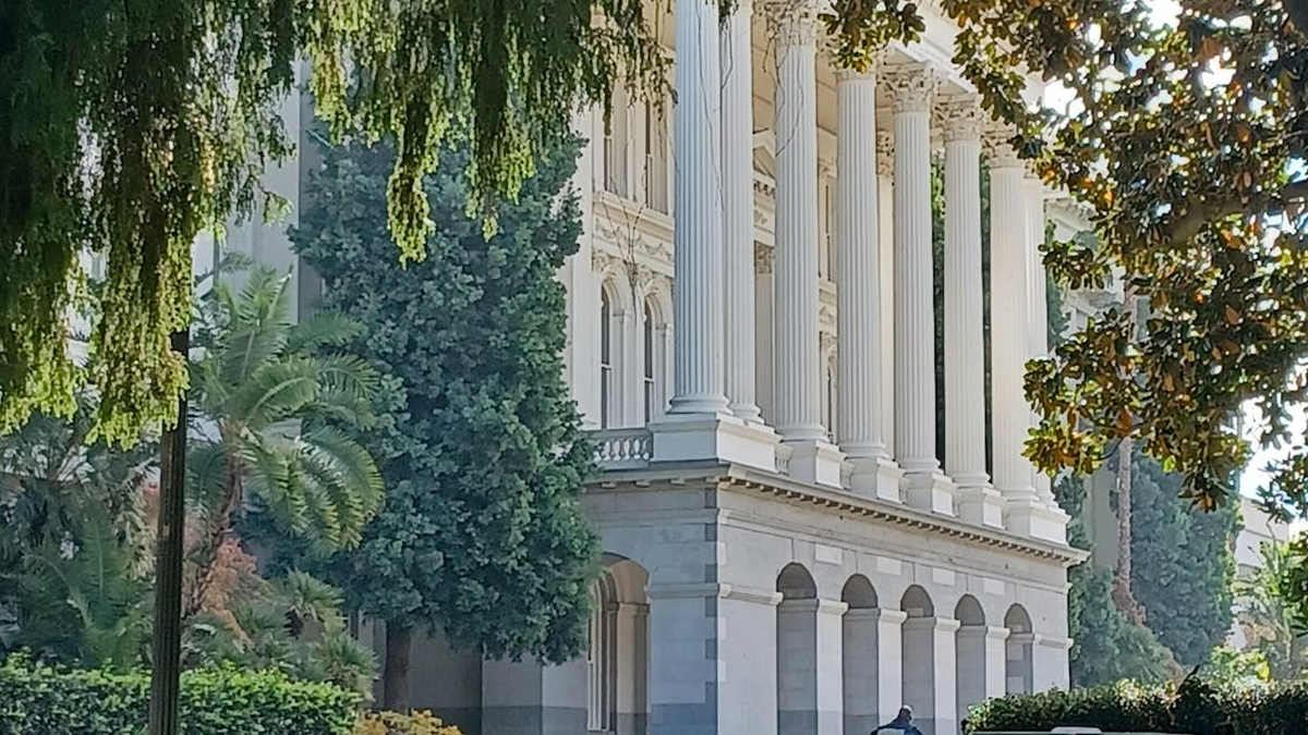 Understanding the Impact of ASU 2020-07 on Contributions of Nonfinancial Assets